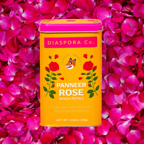 paneer rose seeds Buy Paneer Rose | Fragrant Floral Spice