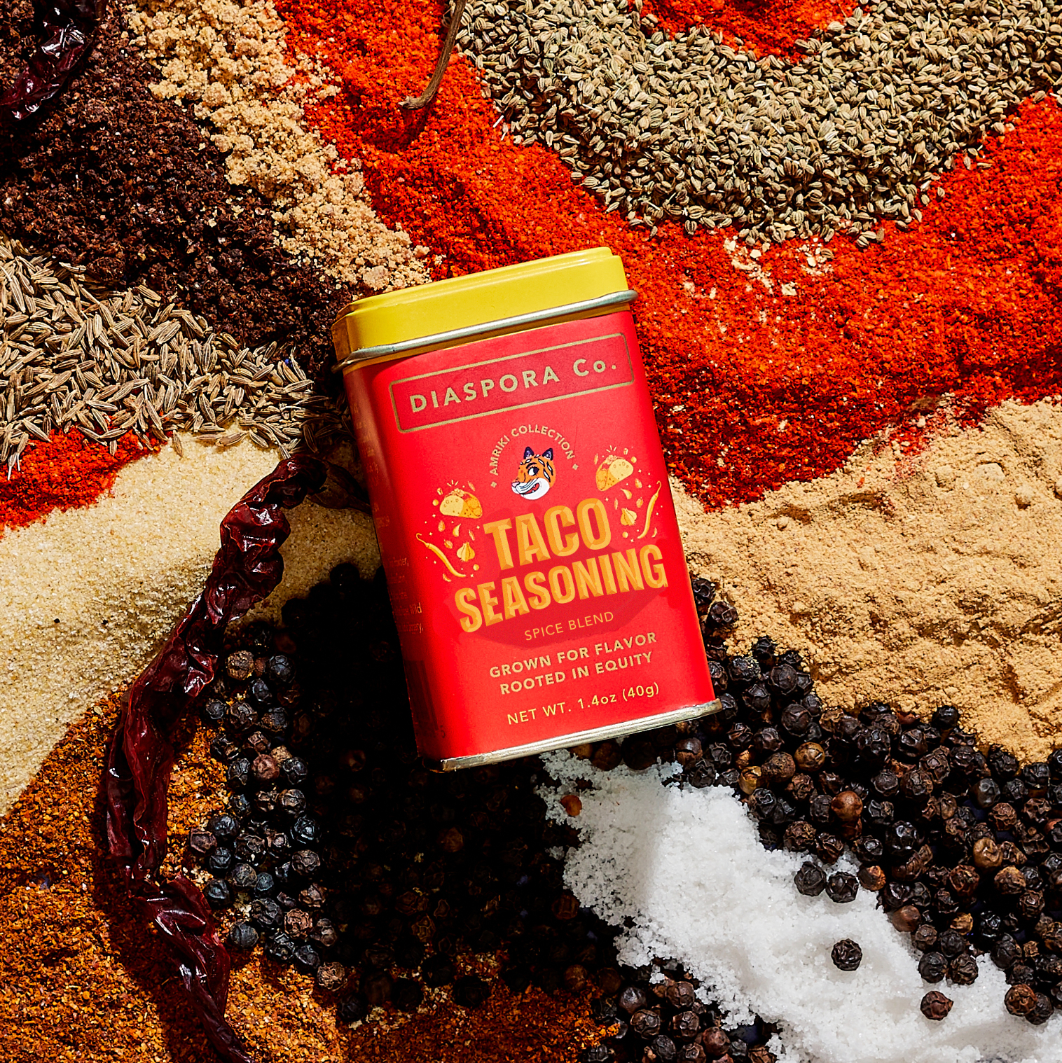 Buy Taco Masala | Zesty & Flavorful Blend | Diaspora Co – Diaspora Co.