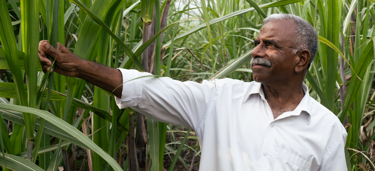 Notes from the Field #1: How Ecosystems Unlock Flavor!