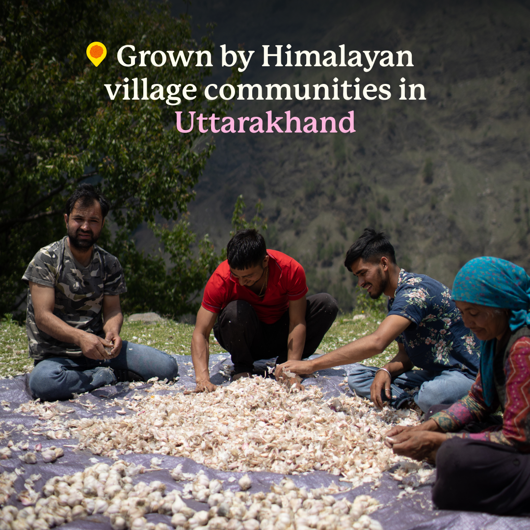 Pahadi Pink Garlic