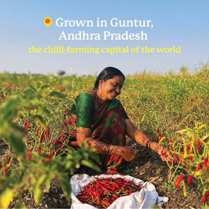 Guntur Sannam Chilli