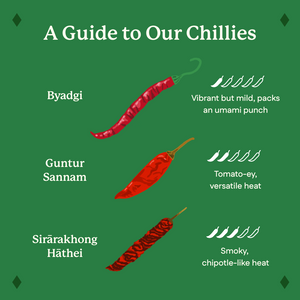 Guntur Sannam Chilli