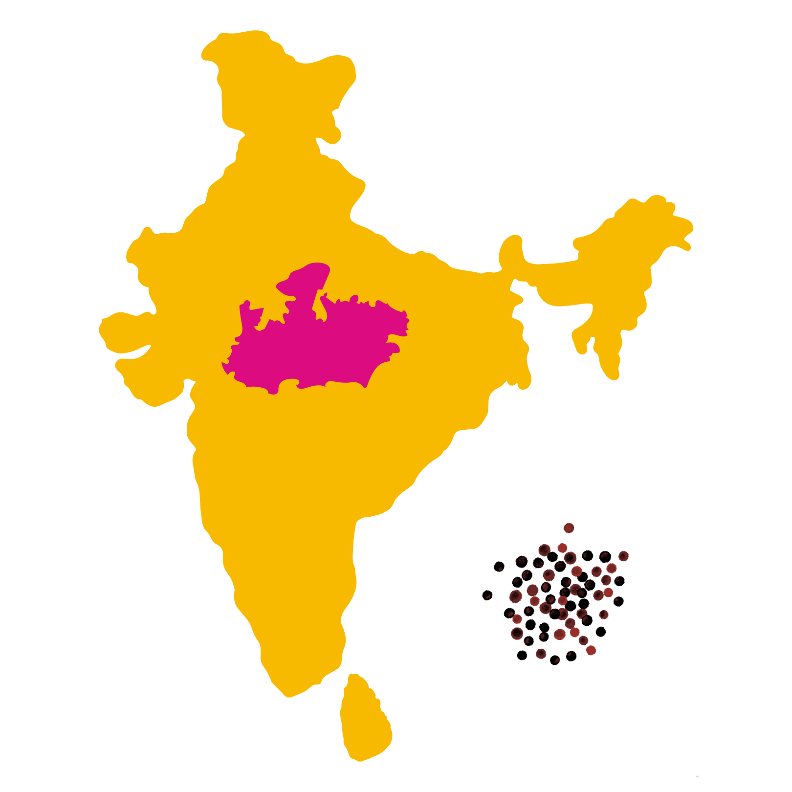 Grown in <br> Amarwara, Madhya Pradesh
