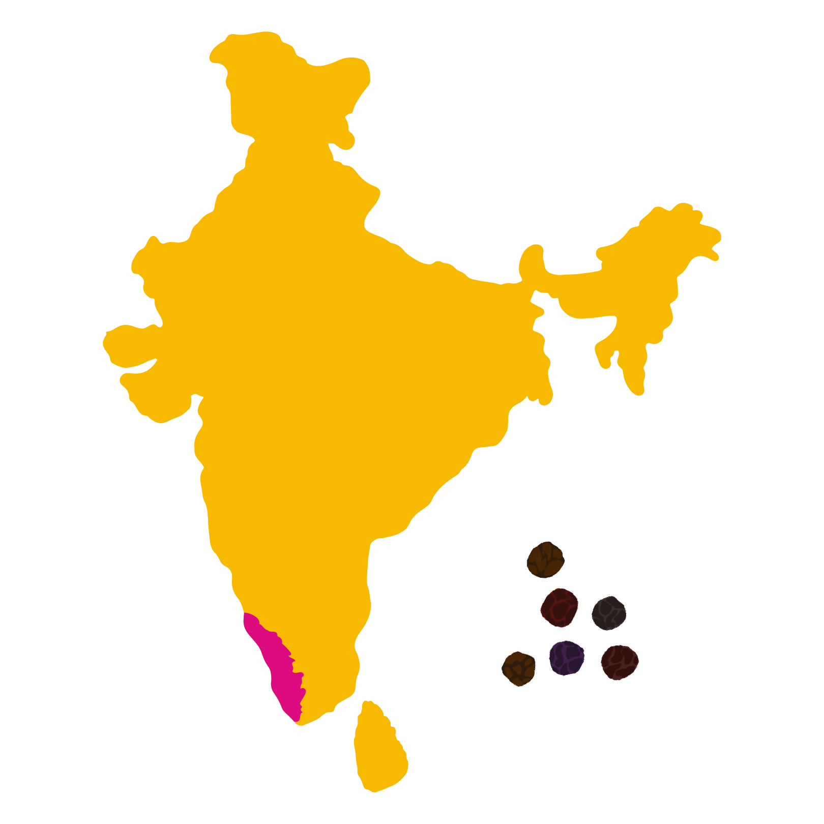 Grown in <br> Thirunelly, Kerala