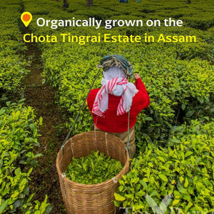 Chota Tingrai Black Tea