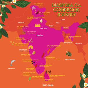 The Diaspora Spice Co. Cookbook