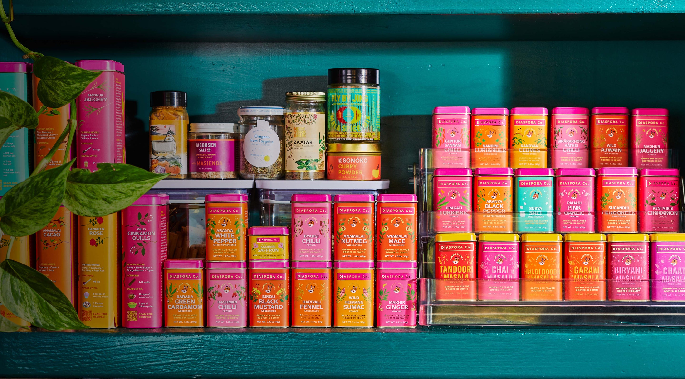 Diaspora Spice Co.