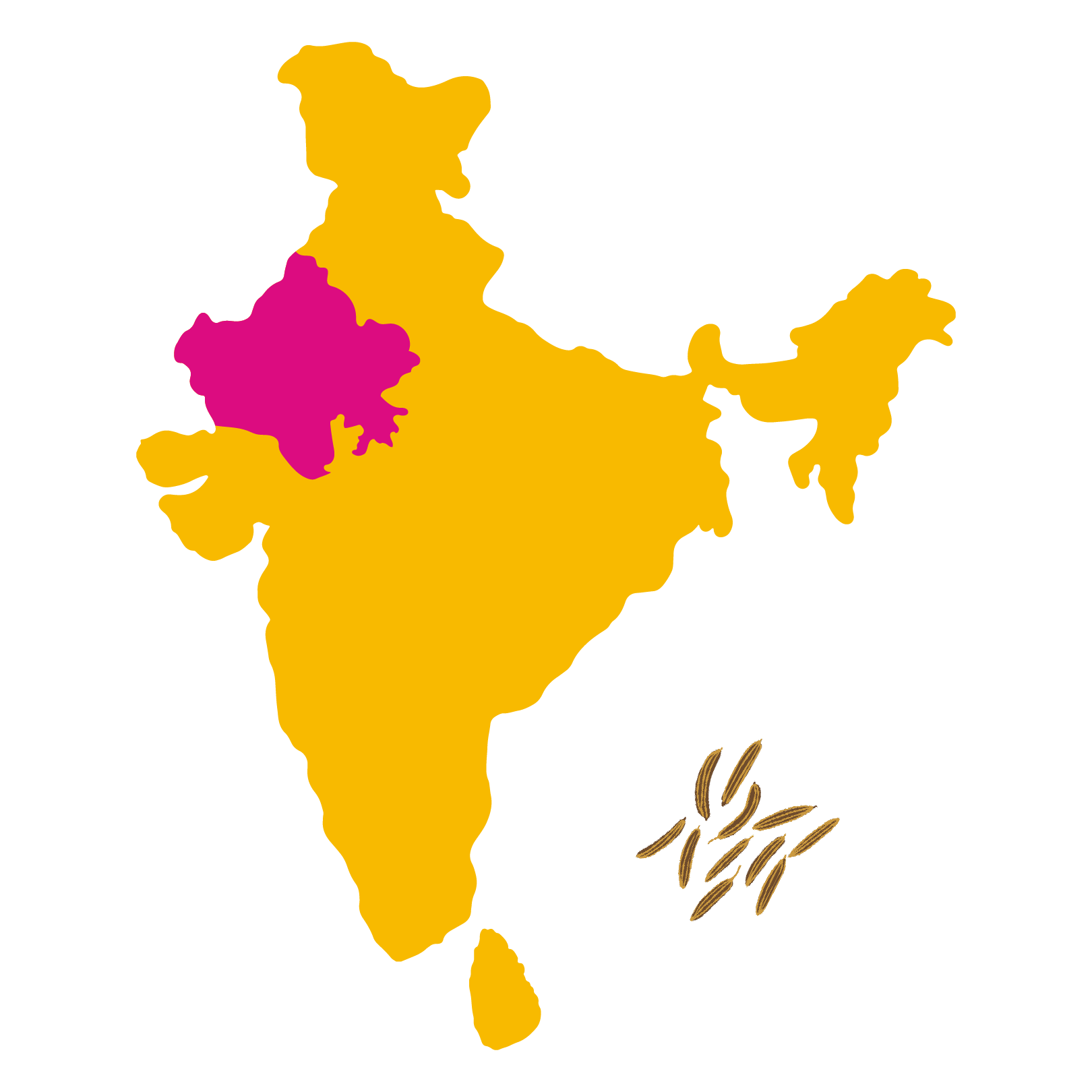 Grown in <br> Inana, Rajasthan