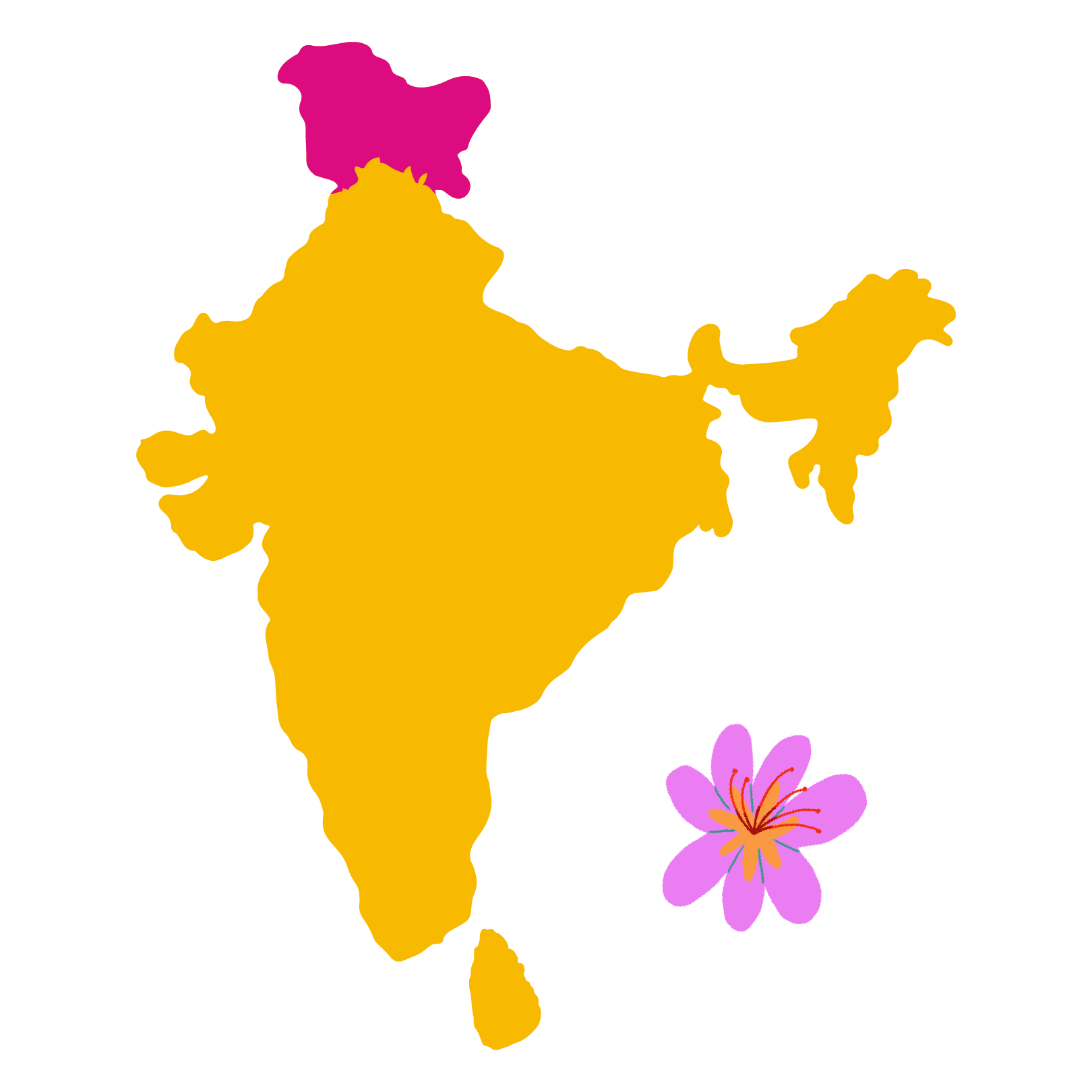 Grown in <br> Pampore, Kashmir