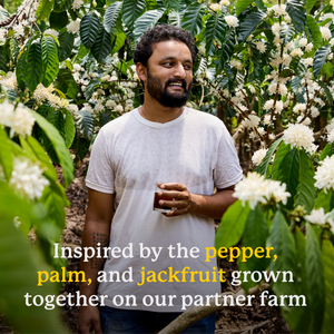 Transcendence - Black Pepper Ginger Syrup