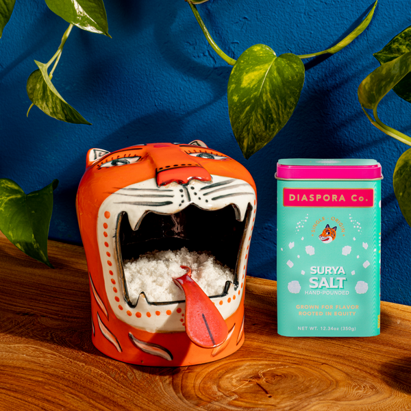 Salt Tiger – Diaspora Co.