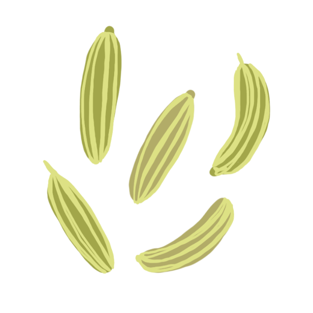 Hariyali Fennel