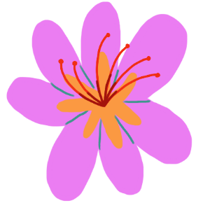 Kashmiri Saffron