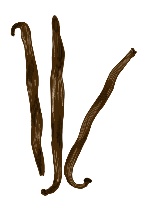Kaveri Vanilla