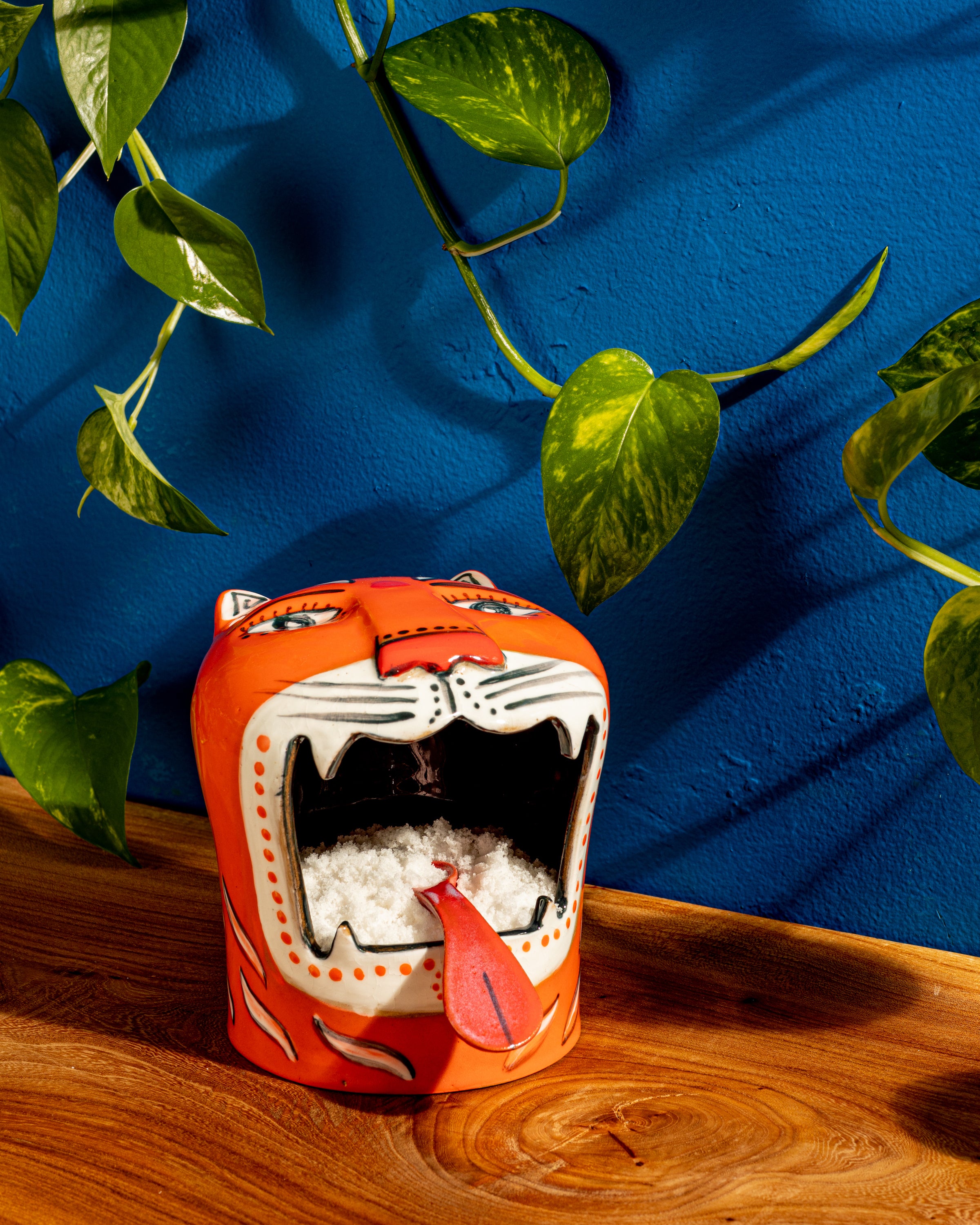 Salt Tiger – Diaspora Co.