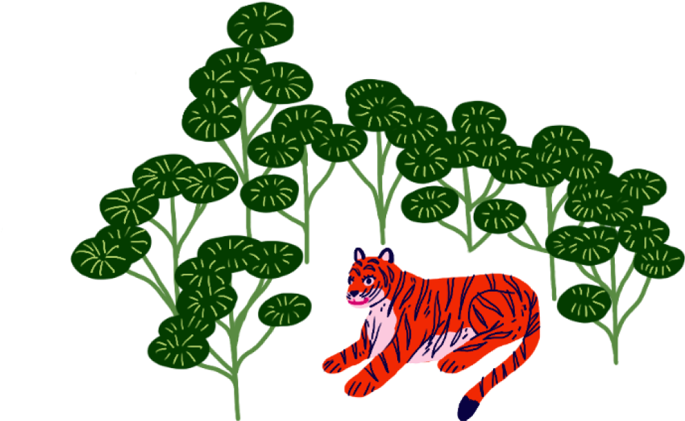 Tiger sitting in a food fores